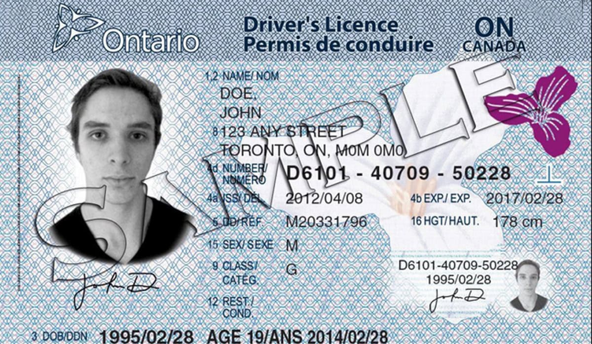 Renewing your Ontario Driver’s Licence just got easier and safer