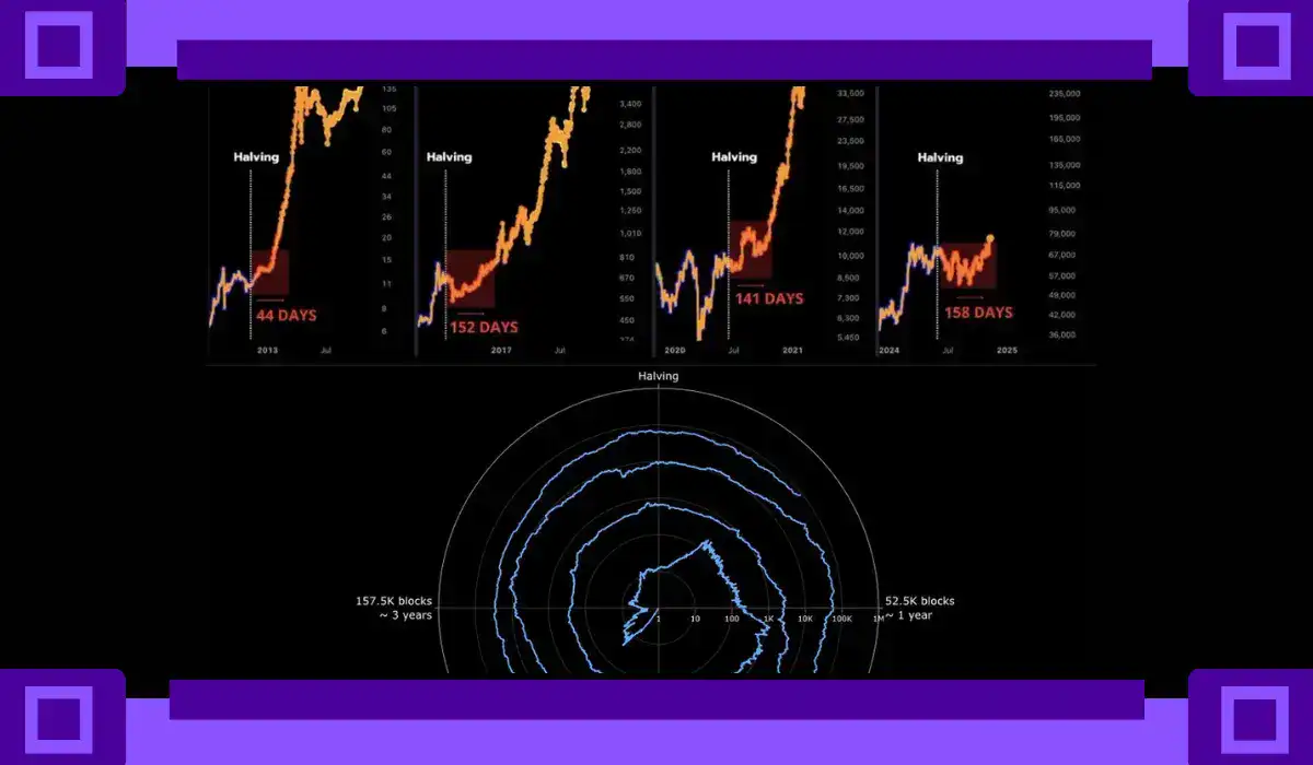 Bitcoin 4-Year Cycle Chart