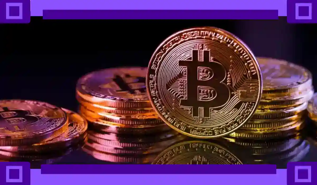 Bitcoin Holding Public Companies