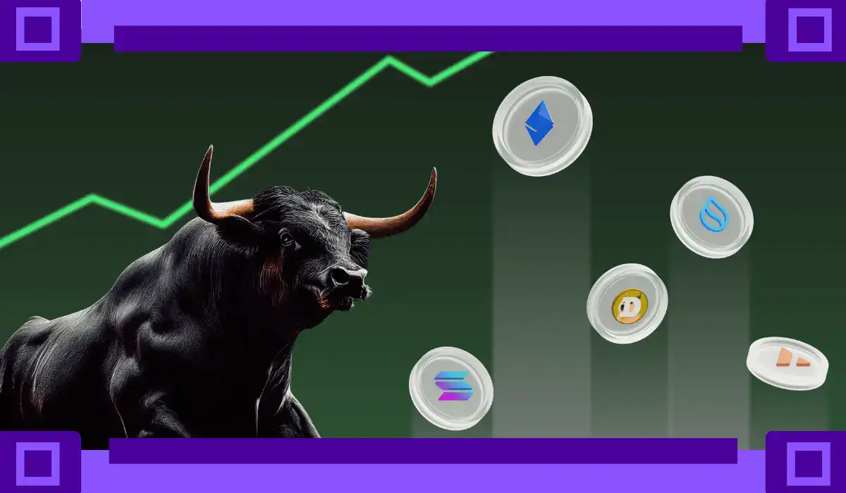 Bull Market in Crypto