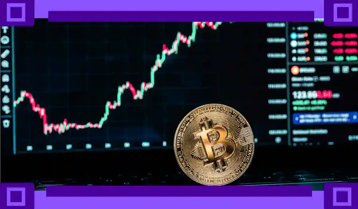 Crypto Stocks