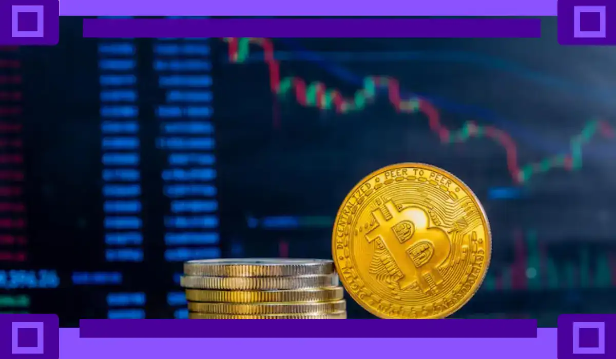 Crypto Exchange Fees