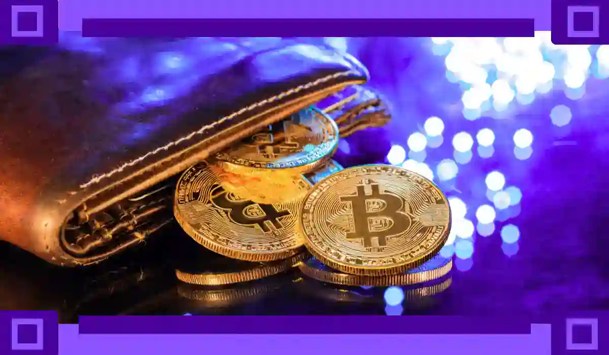 AI Agentic Crypto Wallets