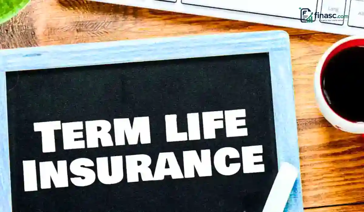 Term Life Insurance