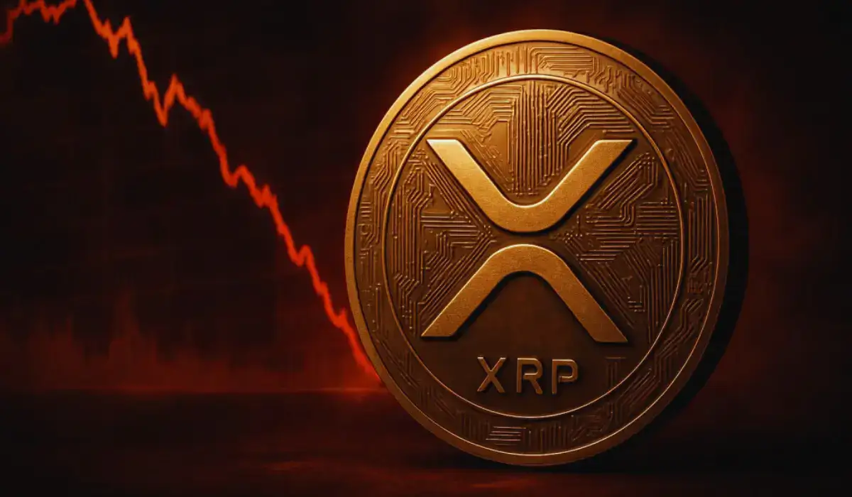 xrp zukunft