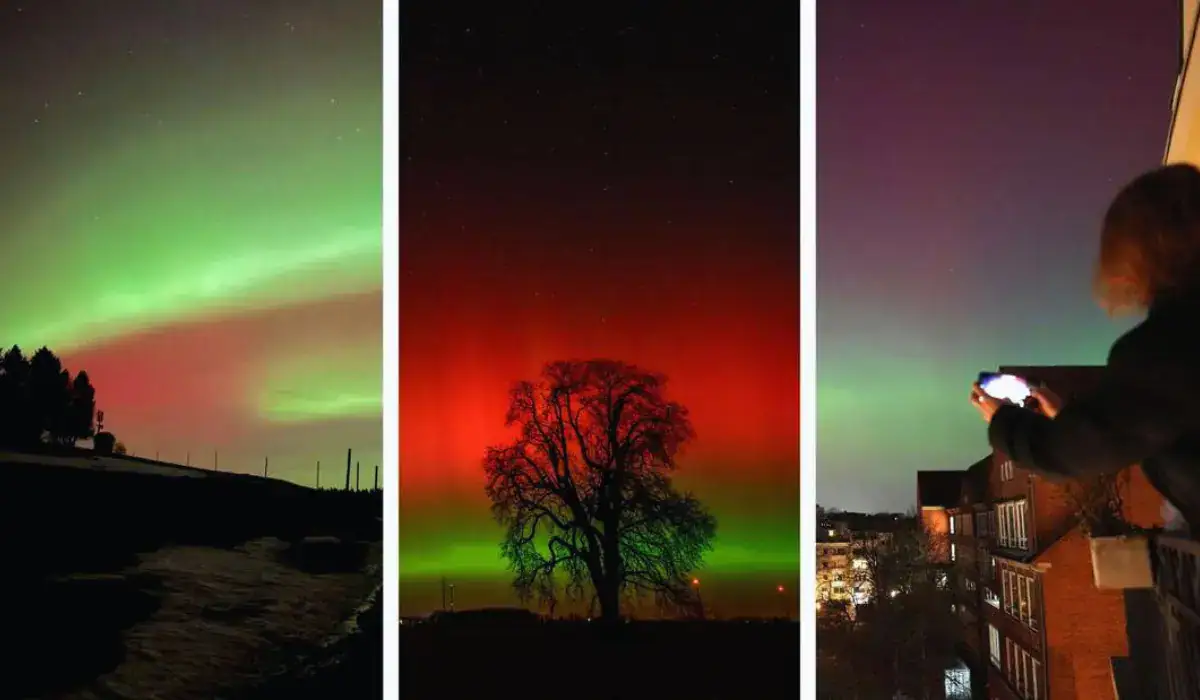 sonnenflecken polarlichter