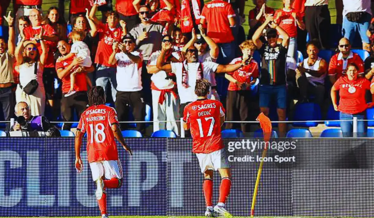 benfica – fc alverca
