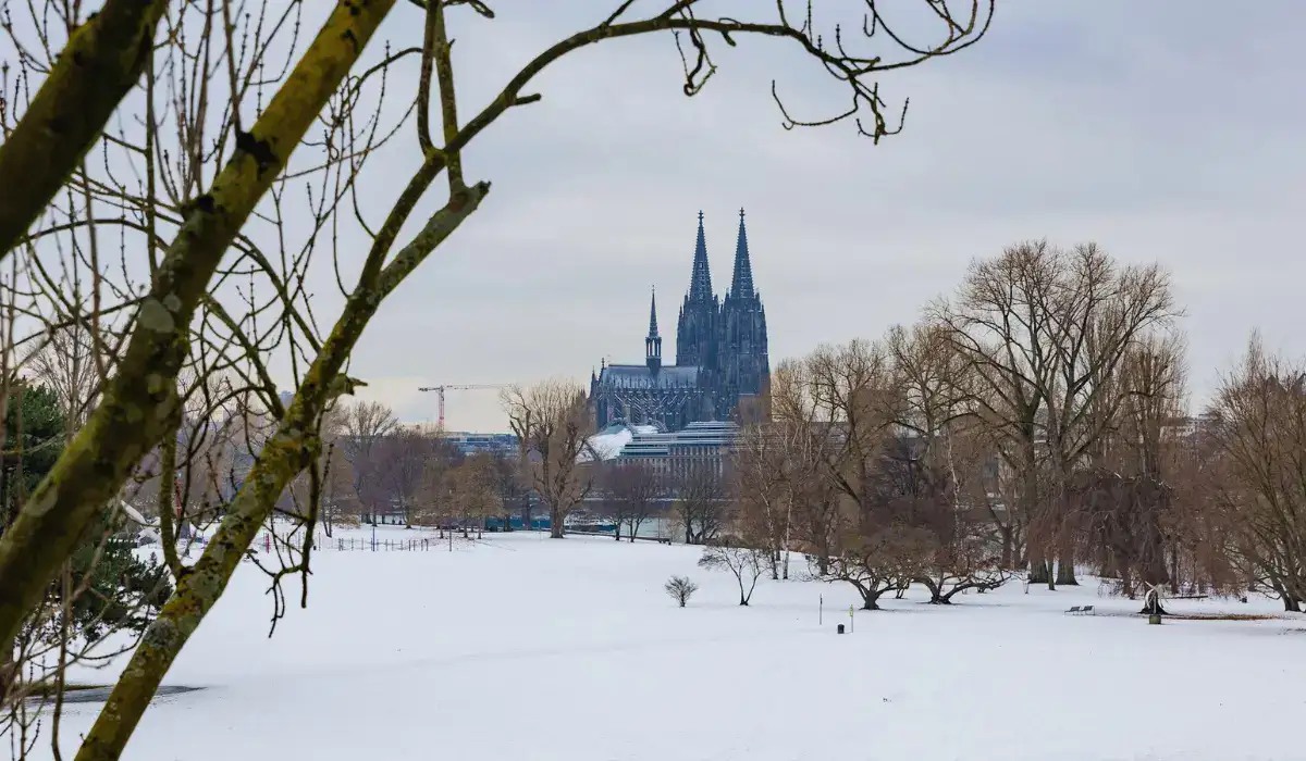 wetter köln