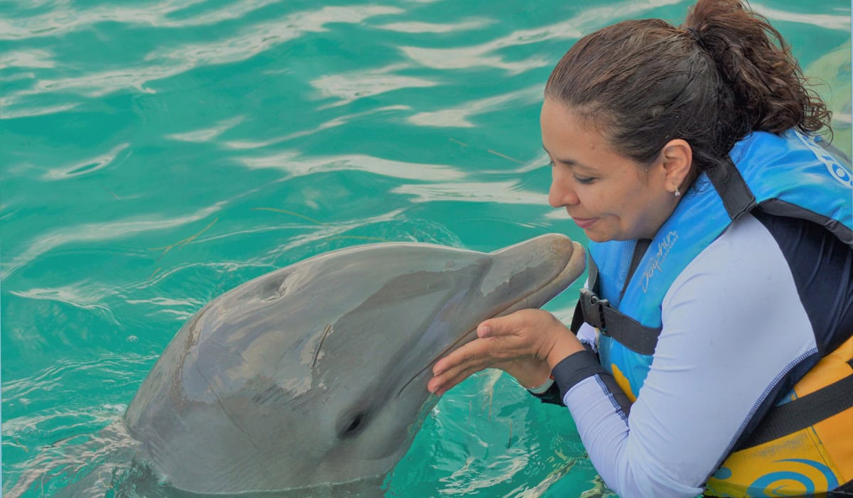 Canada is banning the captivity of whales, dolphins, and porpoises