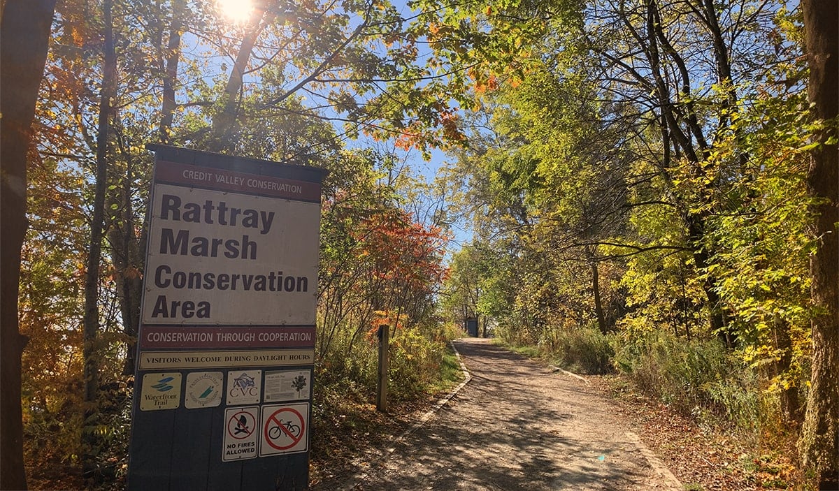 Best places to see fall colour in Mississauga