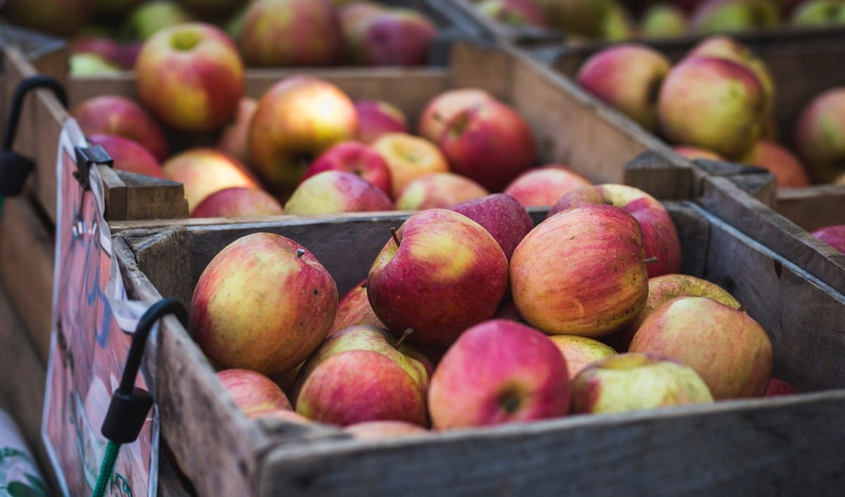 Applefest in Bayview Leaside recreates the spirit of the area’s apple farming history