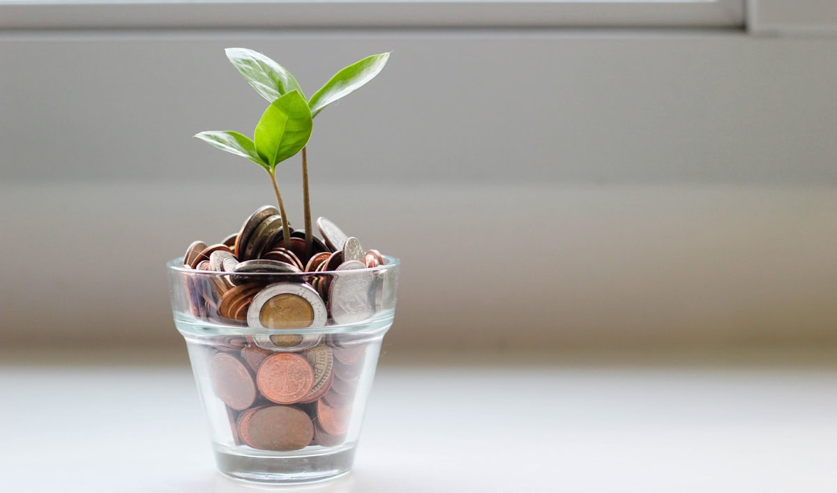 What is a High Interest Savings Account