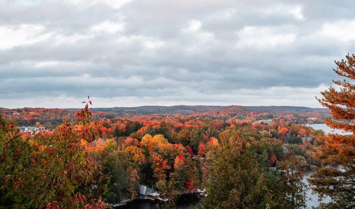 Fall Colours Are Peaking in Muskoka — Where to Go and What to Do