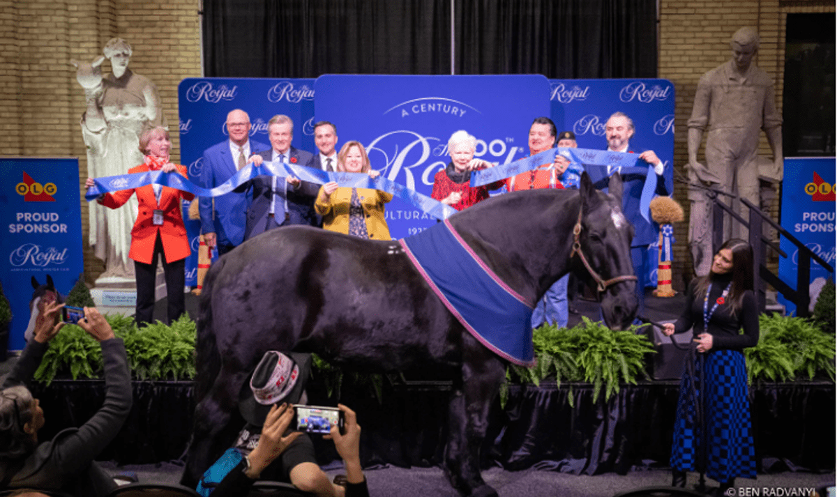 What’s happening at The Royal winter fair today in Toronto – Nov. 5