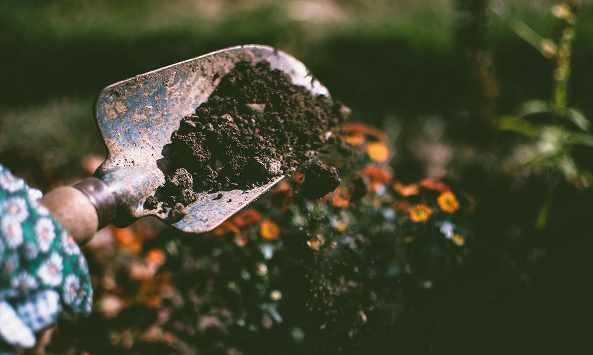 6 Gardening Tools Every Homeowner Needs