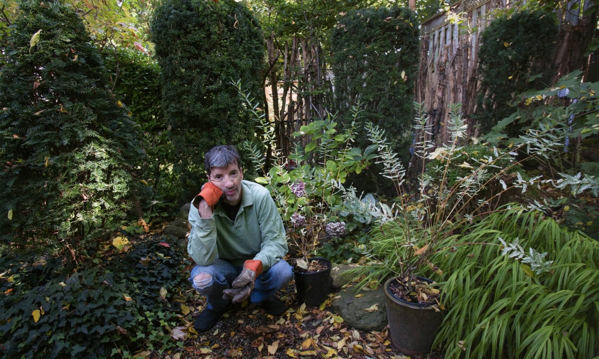 Martha and the Muffins‘ Mark Gane’s solo debut is inspired by secret life of plants