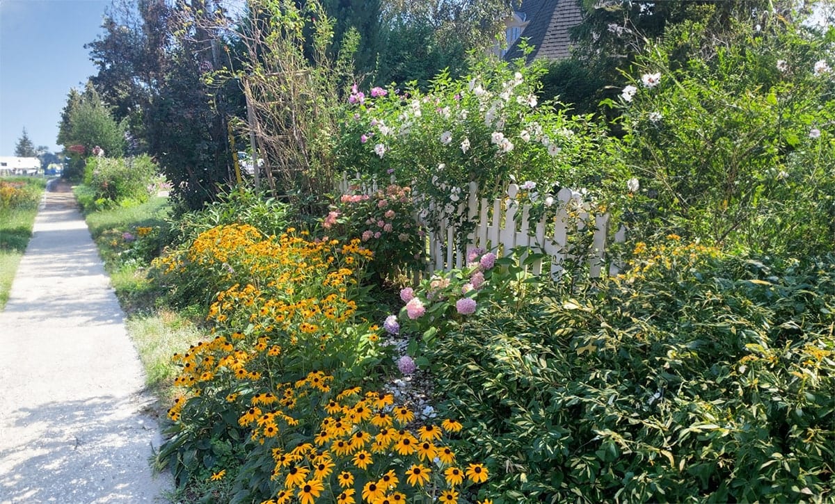 Calling all gardeners! Applications now open for City of Toronto’s PollinateTO grants