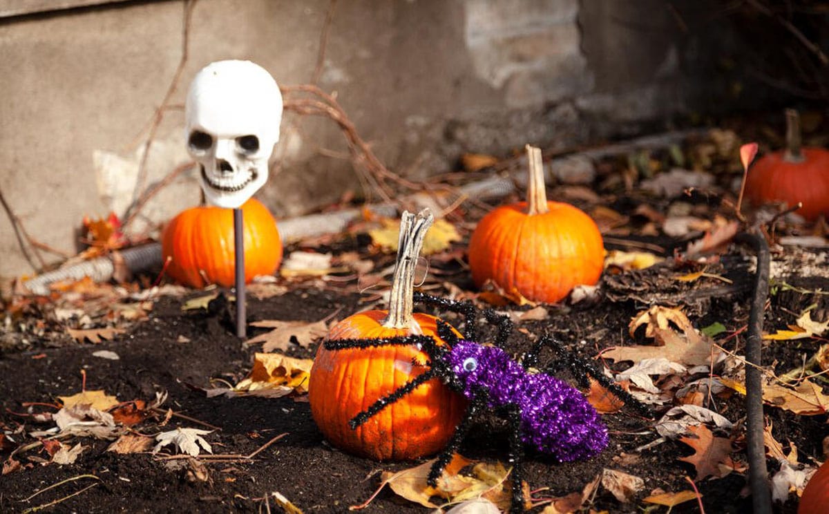 TOtimes Travel: Ghoulish Halloween offerings happening in Quebec this fall