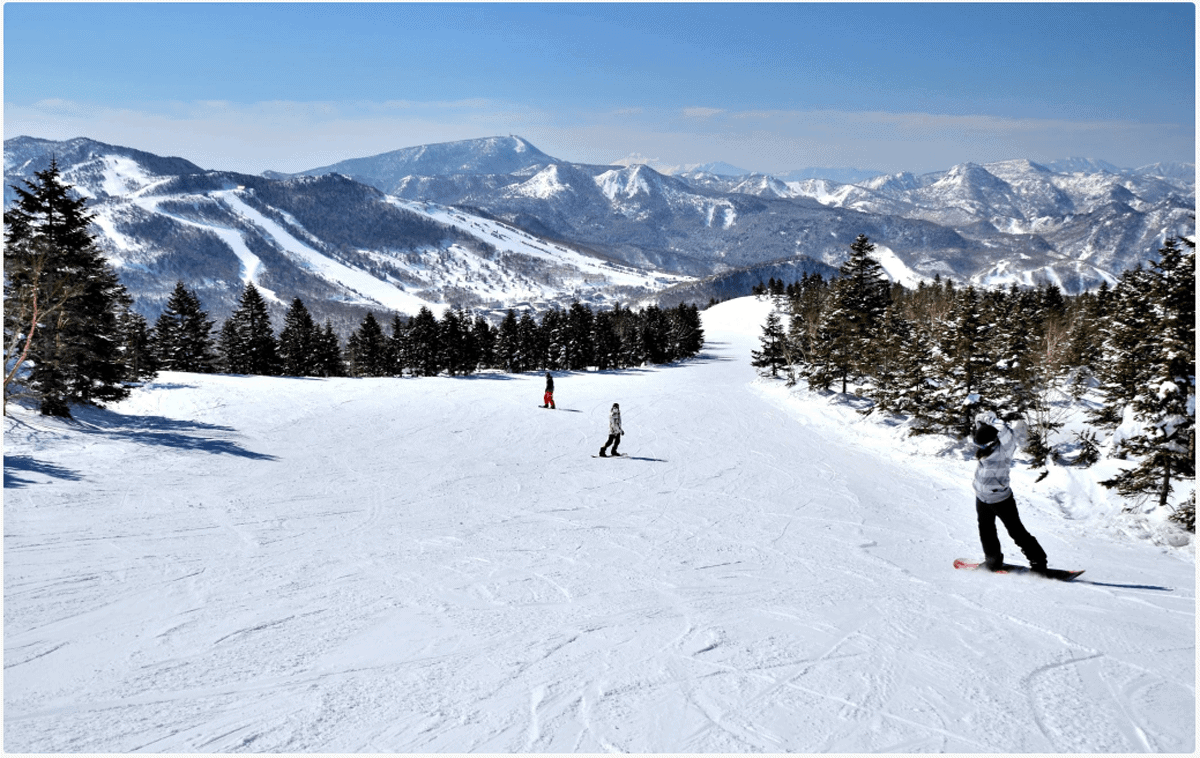The Ultimate Guide to Skiing in Japan: Top Resorts, Nightlife, and How to Get There