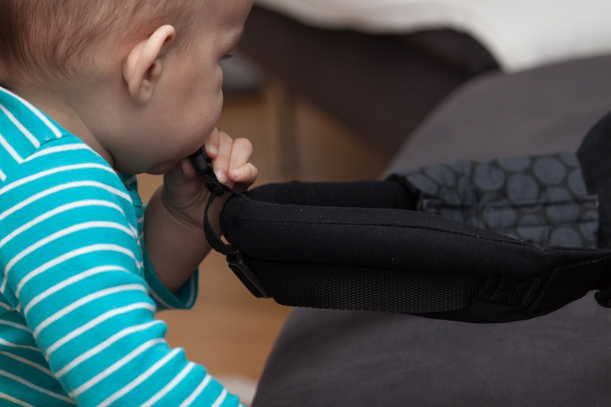 24hugs-kot-sprawdza-zapiecie-nosidelka-2