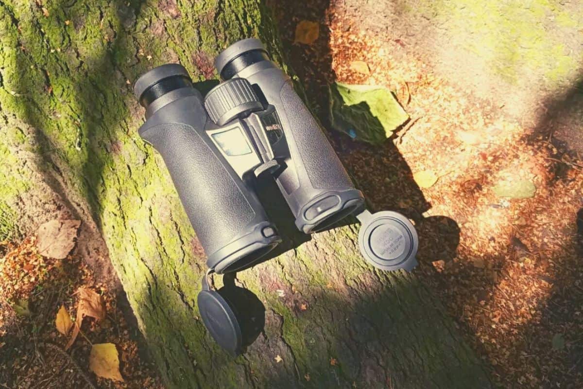 binoculars on a fallen tree in woods