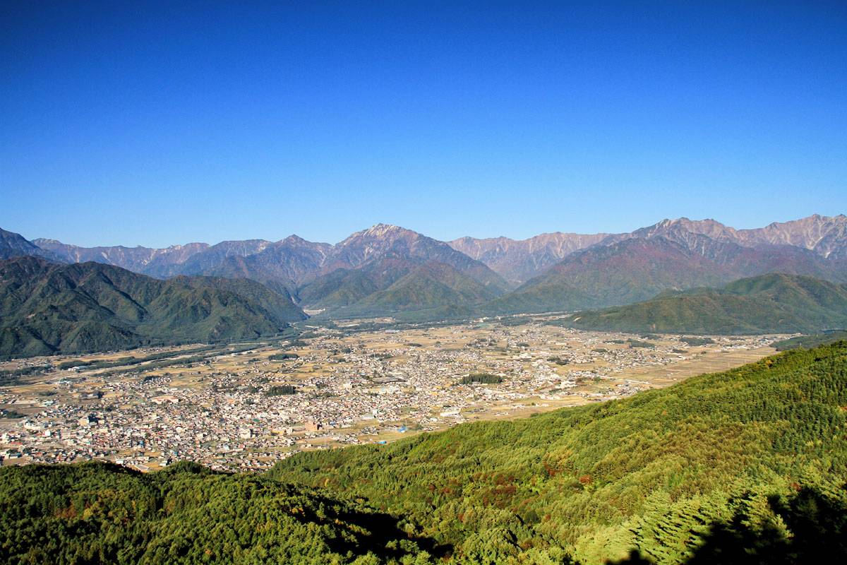 秋のお手伝い日和
