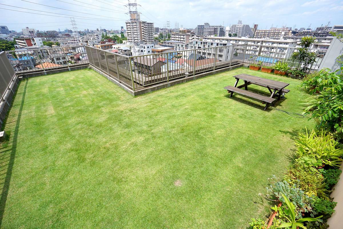 初夏の芝刈り 初夏の芝刈り