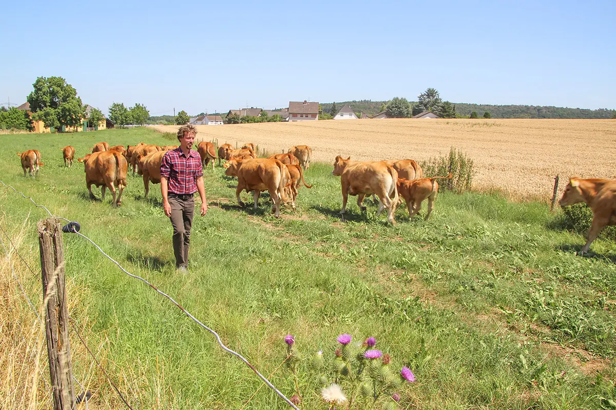Bürgermeisterkandidat Peter Frizen auf der Weide seines landwirtschaftlichen Betriebs in der Gemeinde Alfter