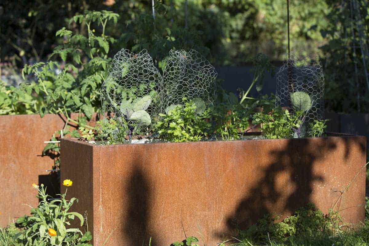 hochbeete im garten