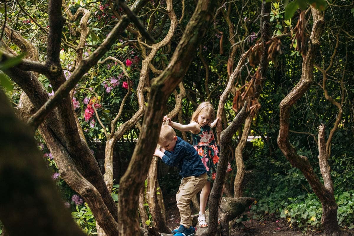 Kids playing in trees