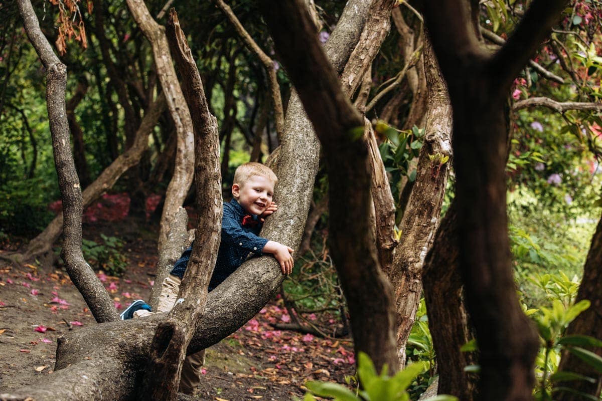 boy in trees