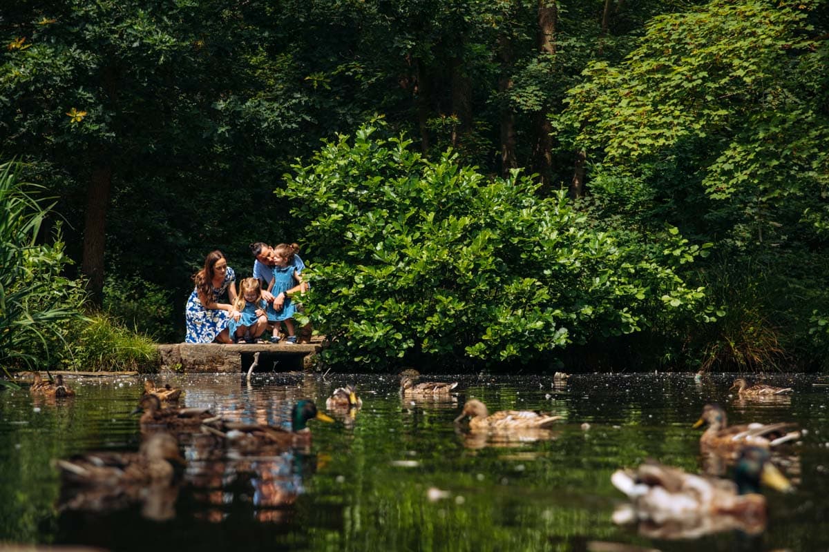 duck pond at bramhall park