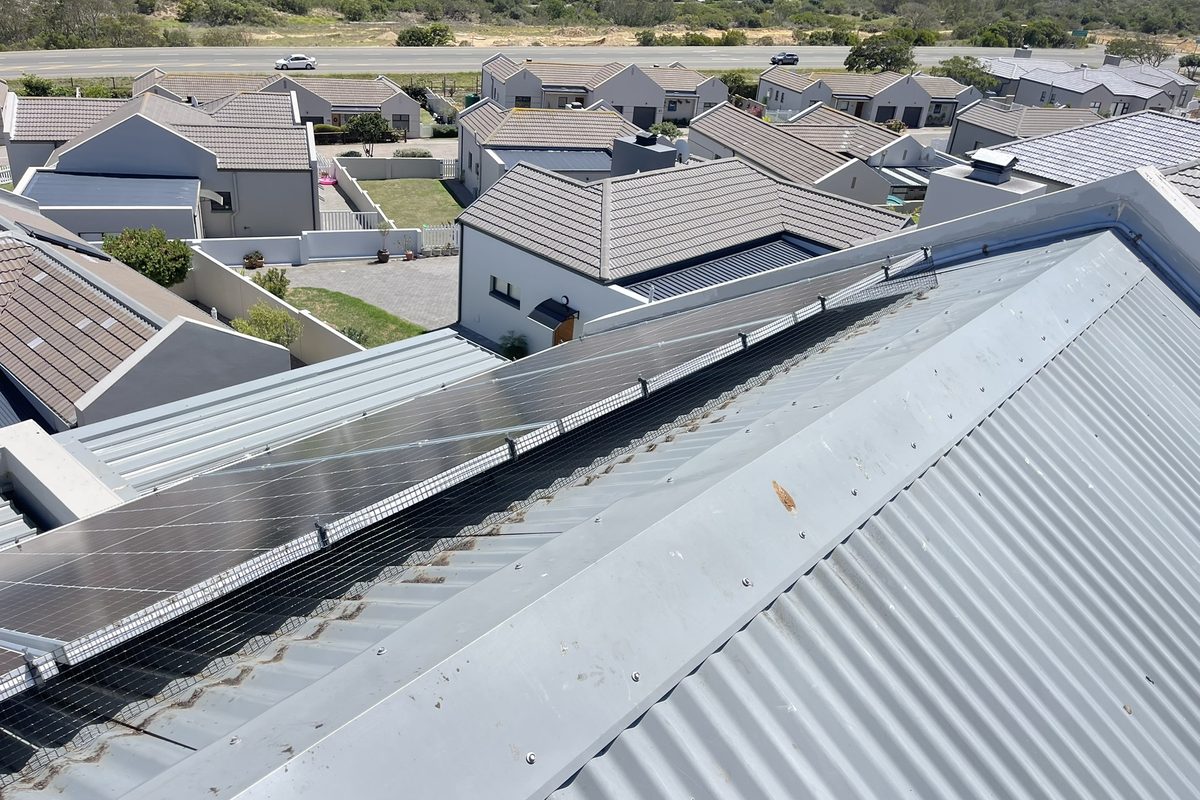 Bird proofing mesh fitted along the full length of a solar array on a corrugated roof, with old guano still visible on the sheeting.