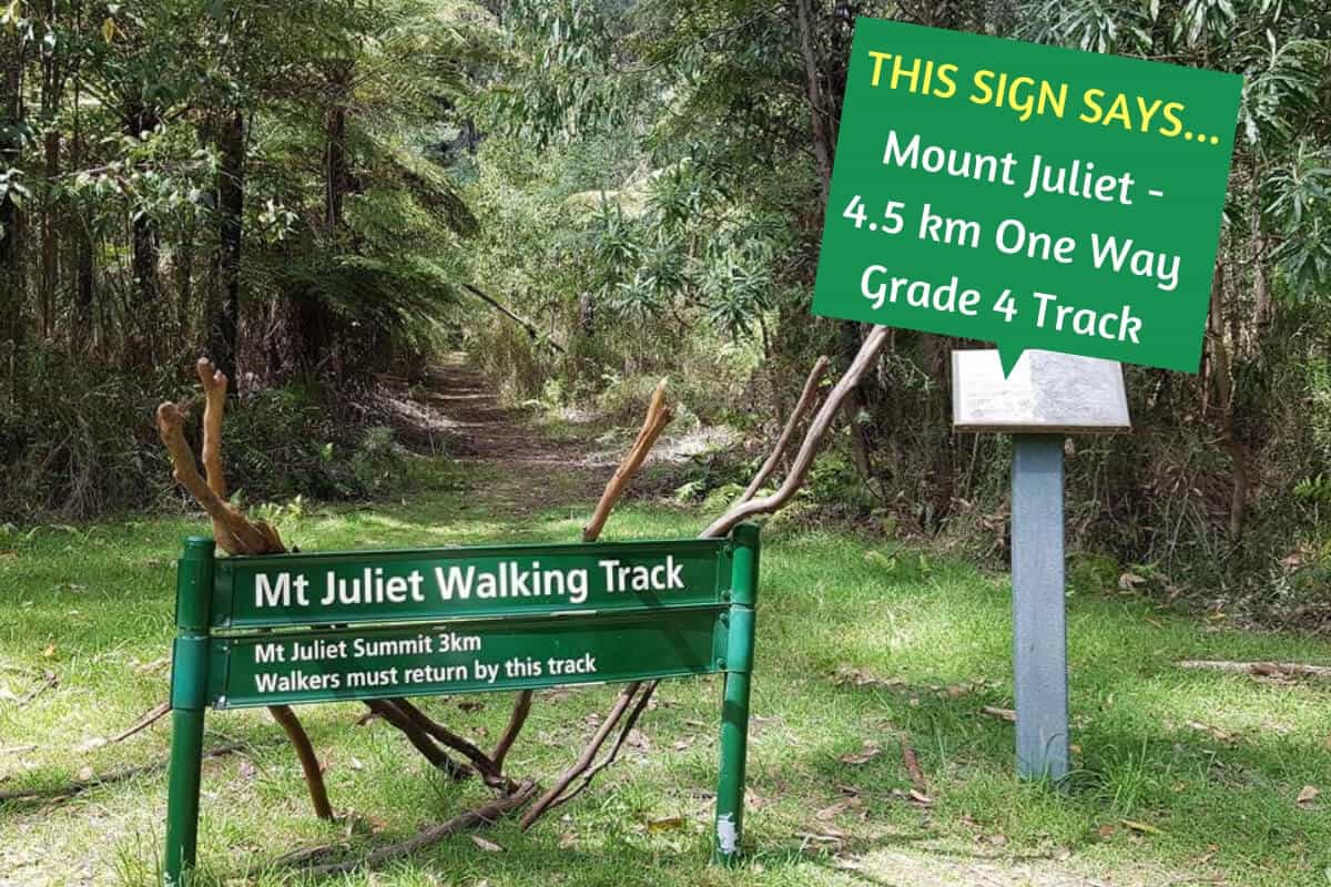 Mt Juliet Walking Track, Yarra Valley