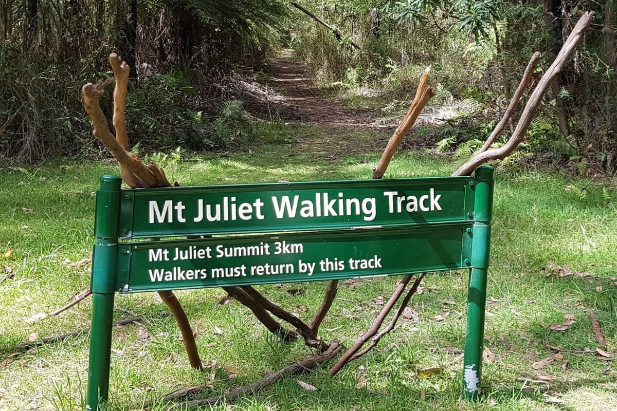 Mt-Juliet-Bushwalk-Track-Yarra-Ranges-National-Park-Yarra-Valley-Victoria - Best hikes in the Yarra Valley