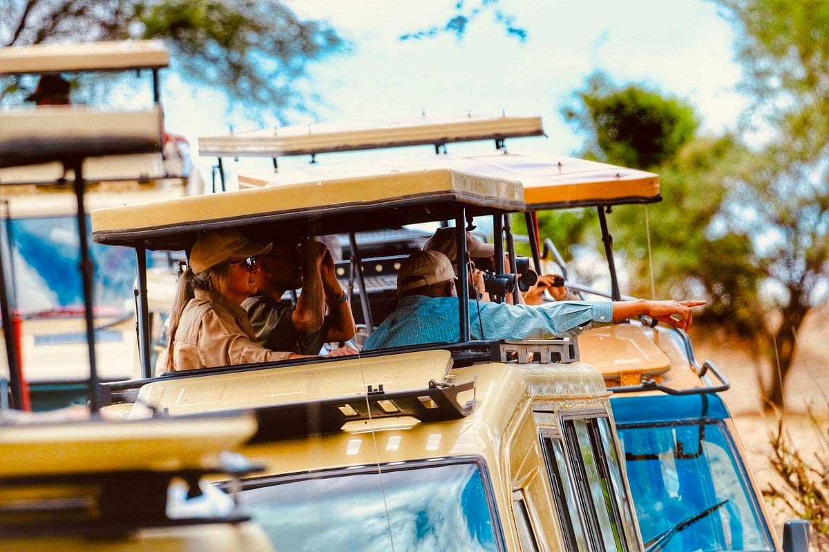 Imagine a group of clients eagerly searching for wildlife on a safari.