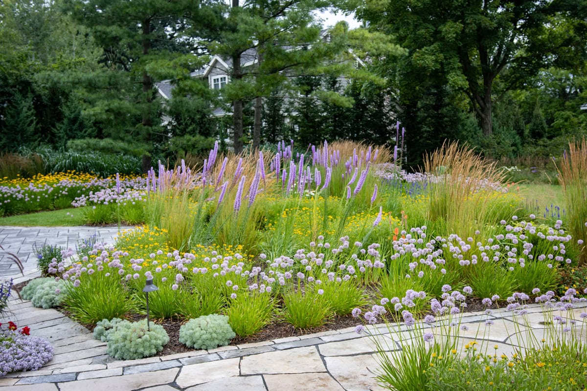 garden and stone path