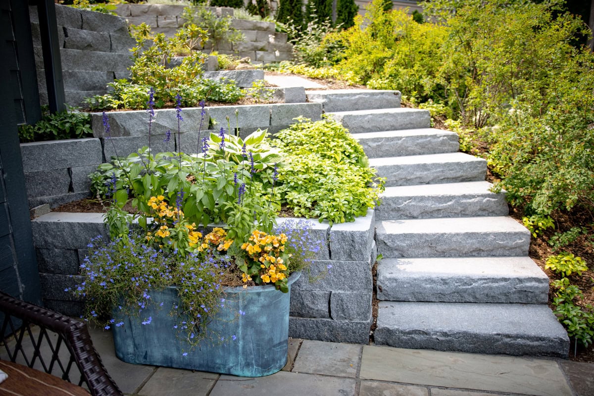 stairs surrounded by plants