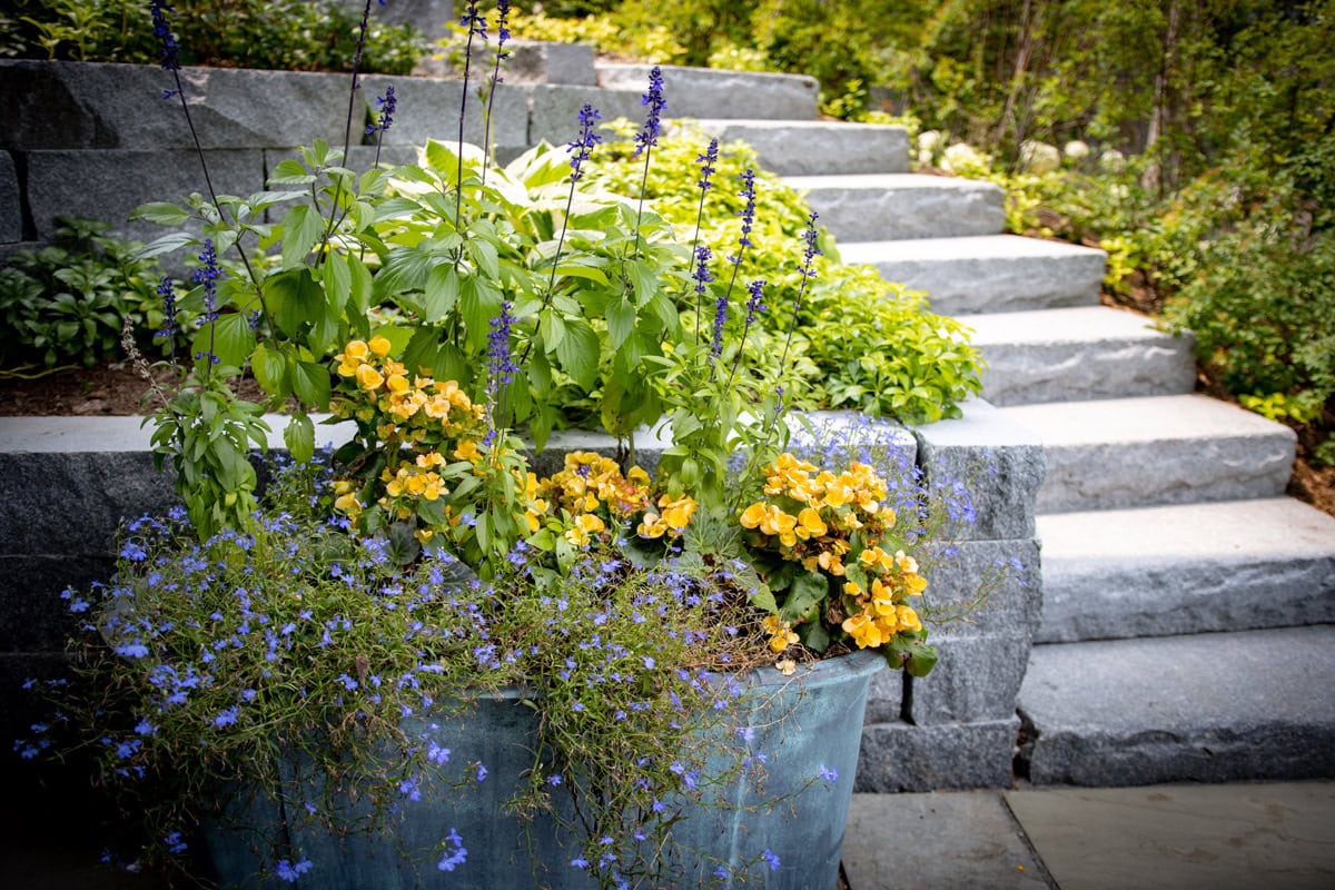 stone steps surrounded by plants