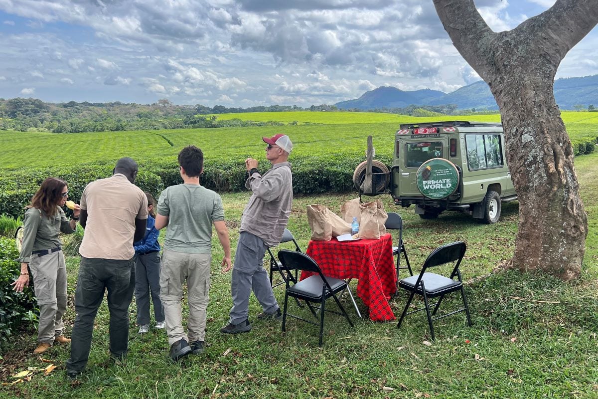 Is 2026 the Year for a Family Safari