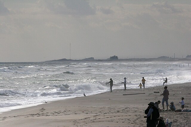 Playalinda Beach shoreline inside Canaveral National Seashore