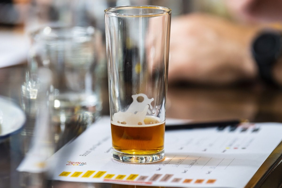 Beer glass close up - tasting workshop