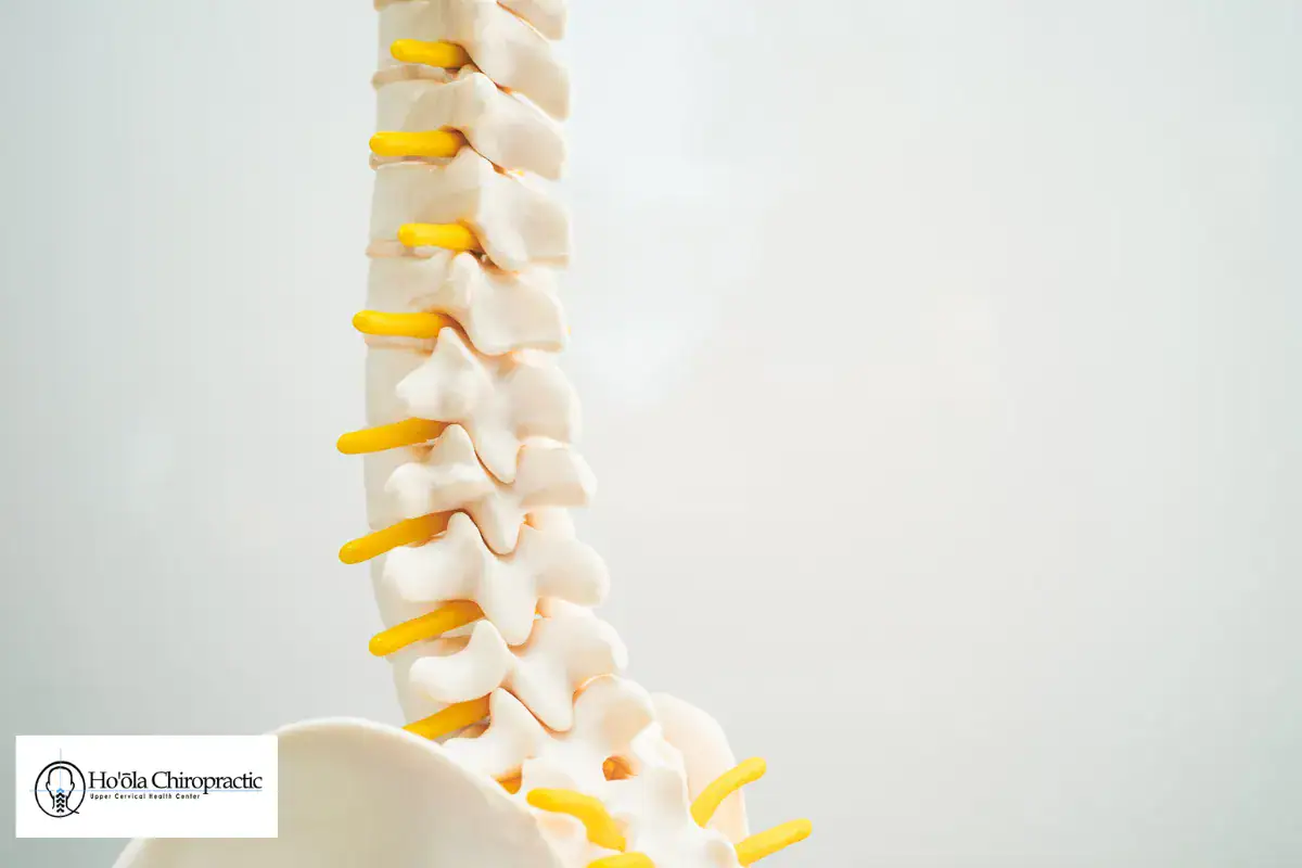Supporting Your Spine Between Visits