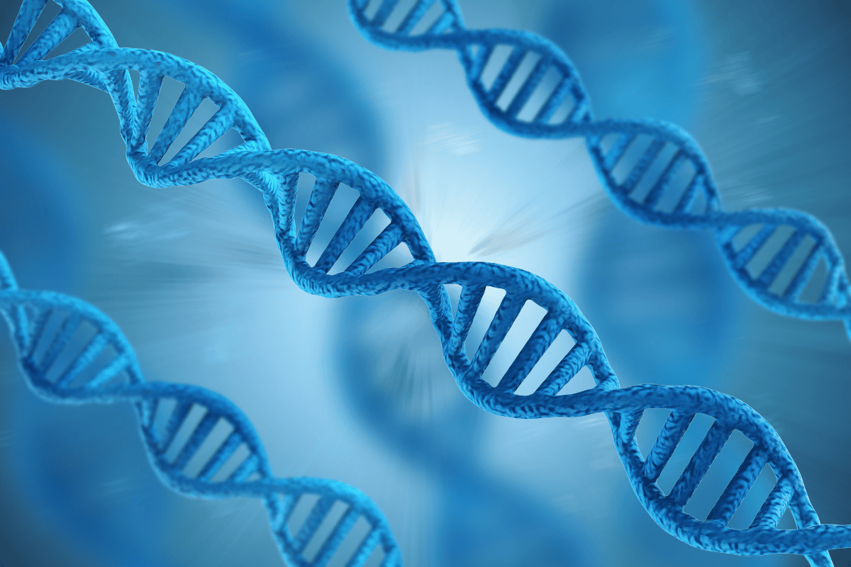 Genetic factors