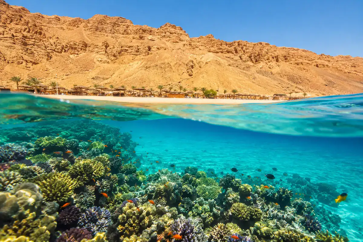Gold Beach below the cliffs of Ras Um Sid Bay in Sharm El Sheikh Egypt