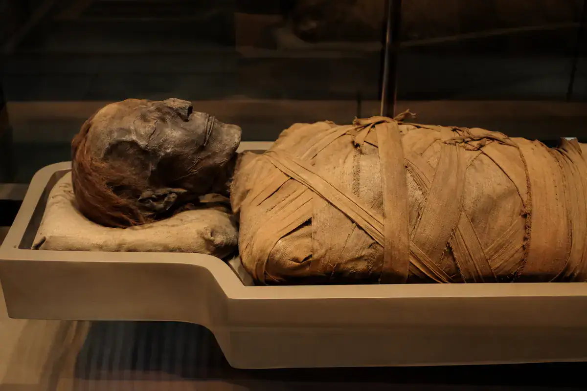 Mummy of Ramesses II displayed respectfully in an Egyptian museum