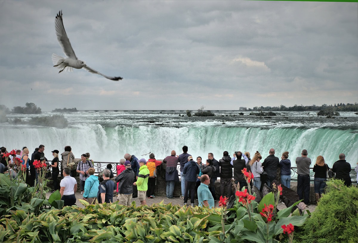 Best Times to Tour Niagara Falls