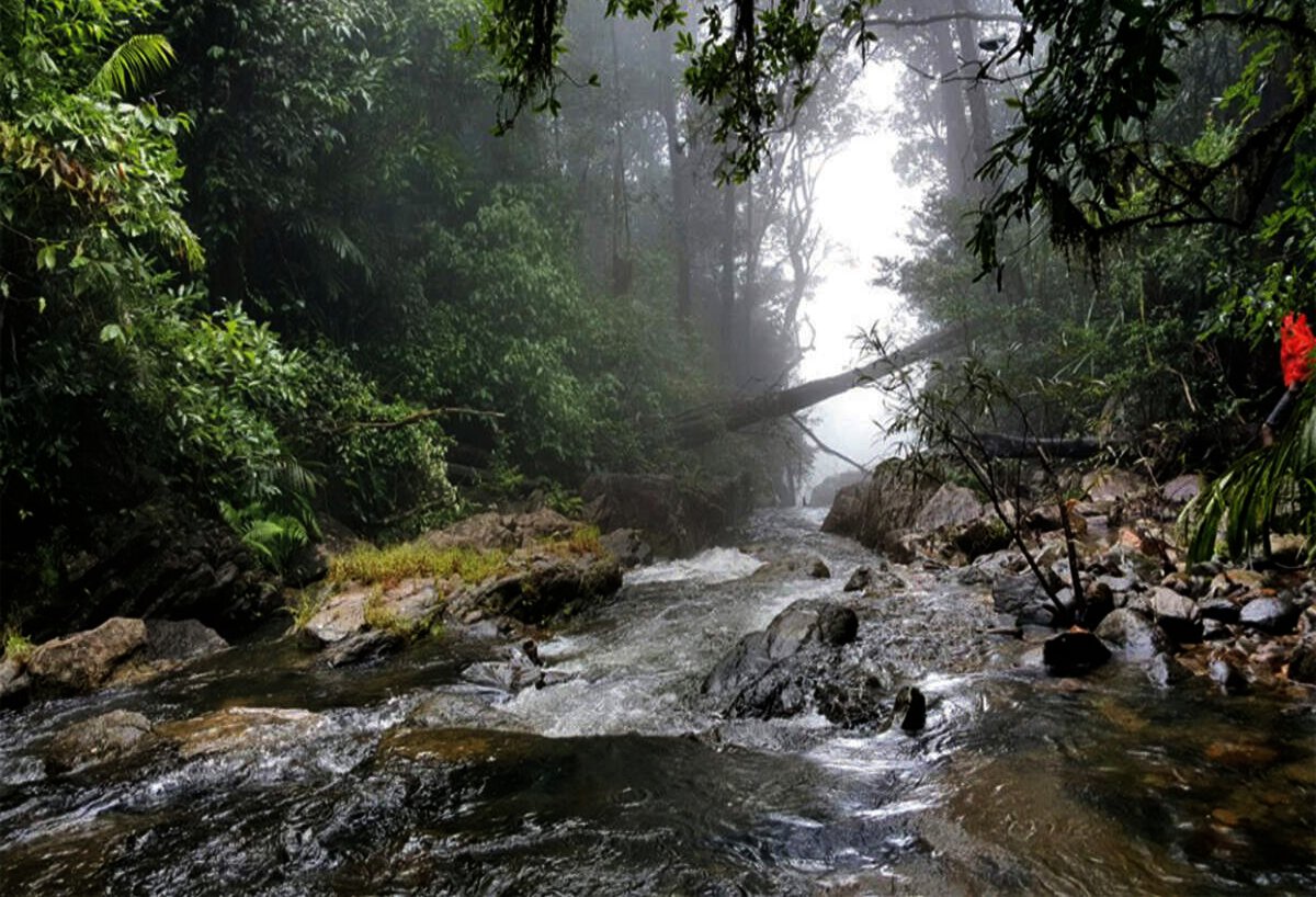 Agumbe