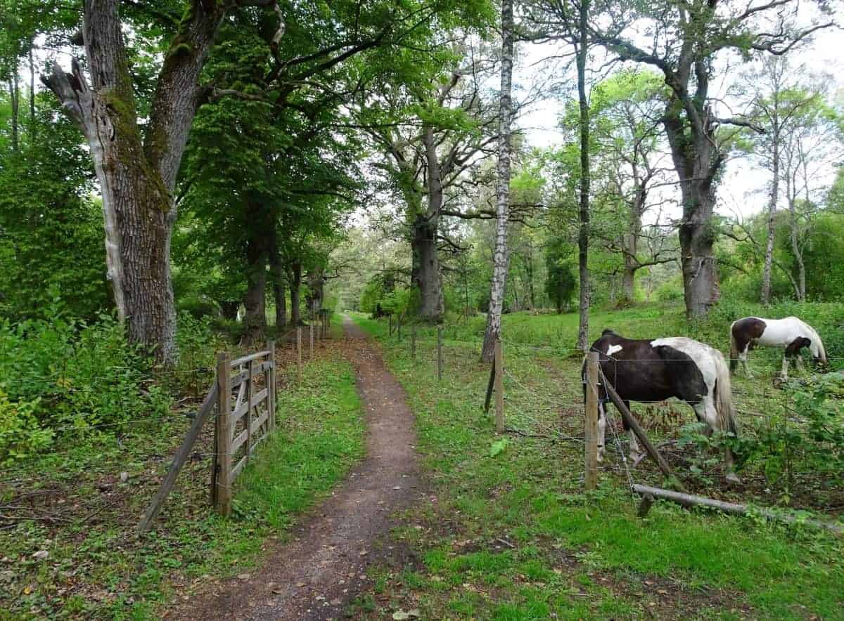 Ekkuden Nature Trail