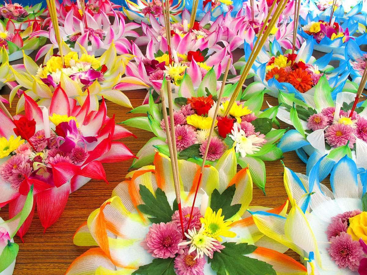山の中のロイカトン 山の中のロイカトン